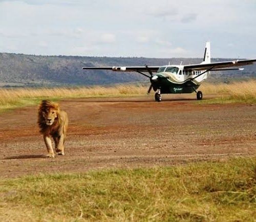3-Day Maasai Mara Fly-In Safari – Fly & Explore