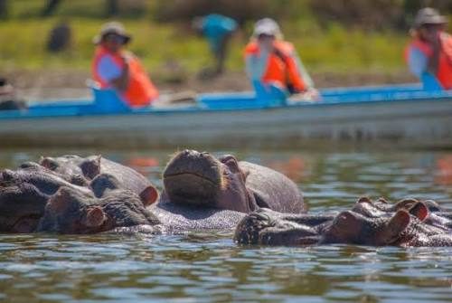 4-Day Lake Nakuru & Naivasha Safari – Scenic Rift Valley Adventure